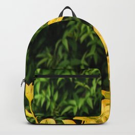 Yellow Against Green Backpack | Natural, Green, Vhsphotography, Yellow, Photo, Nature, Color, Leaves, Bush, Plants 