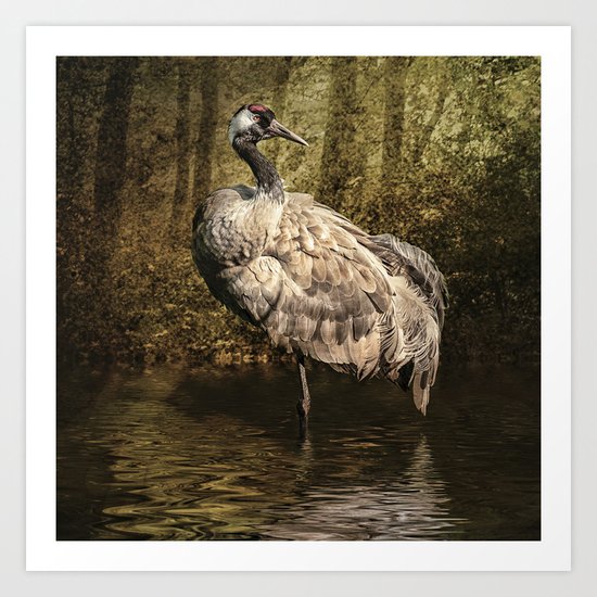 Sand Crane Art Print