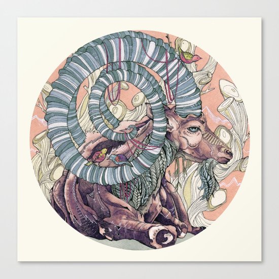 Nubian Ibex Canvas Print