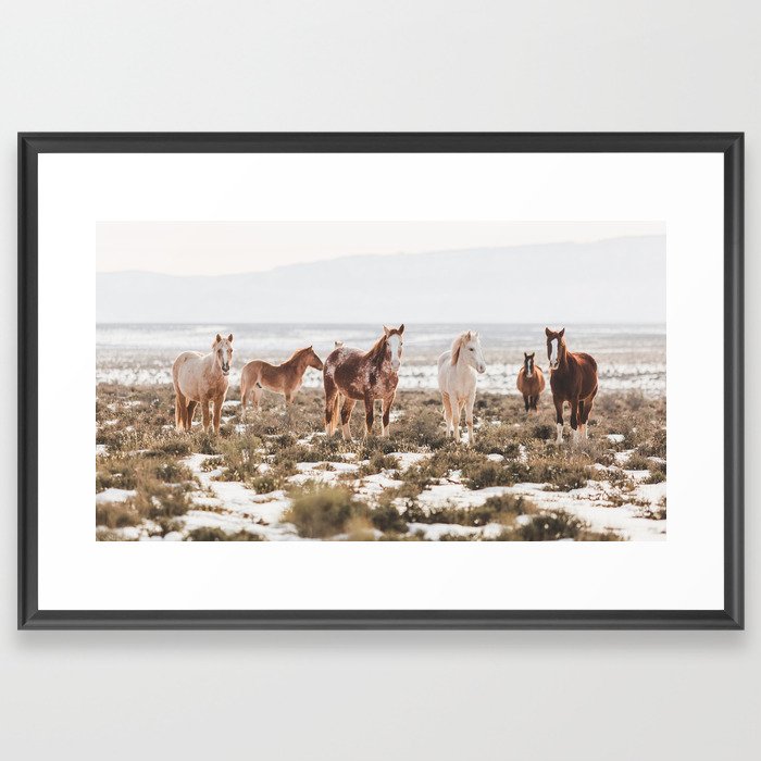 Mustangs of Colorado River Framed Art Print