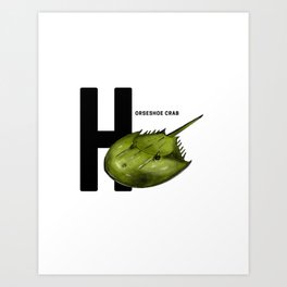 H is for Horseshoe Crab Art Print
