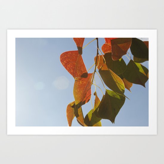 Glowing Leaves Art Print
