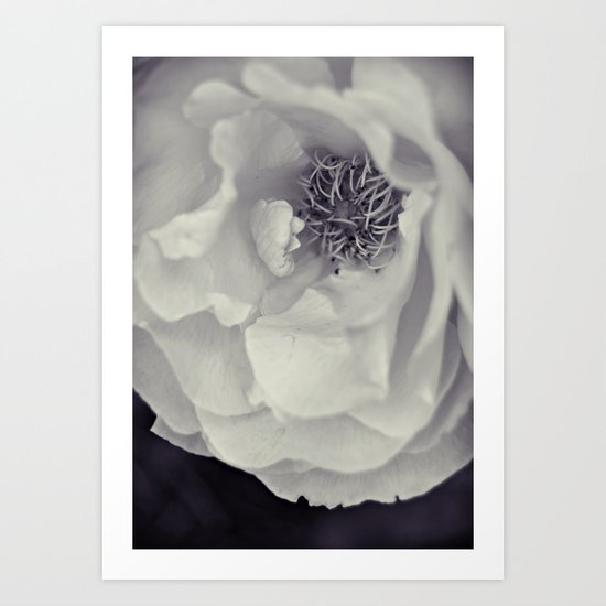 Black & White Rose Art Print