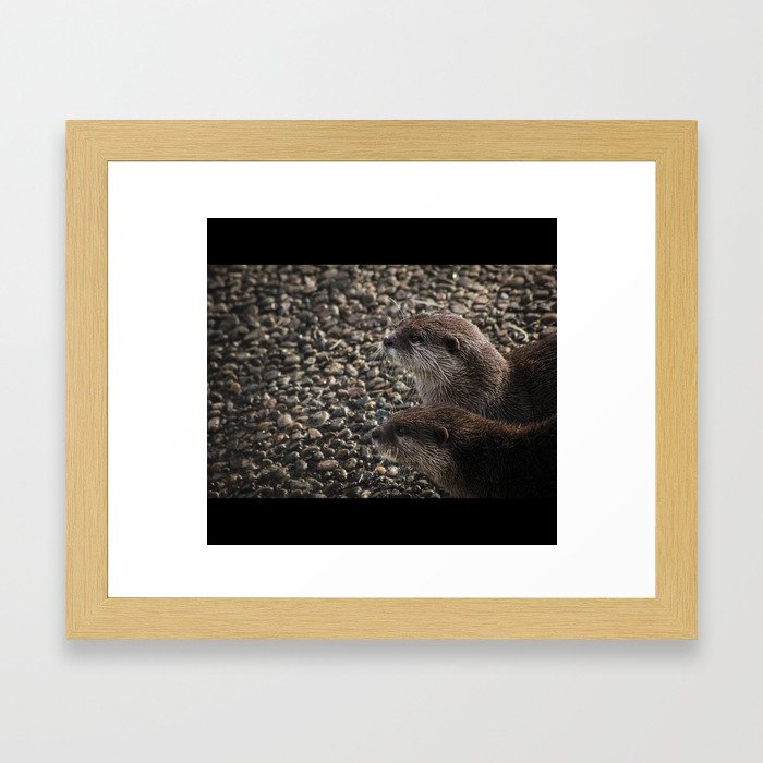 Pair of Otters Framed Art Print