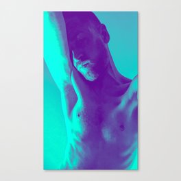 Timidity, teal Canvas Print