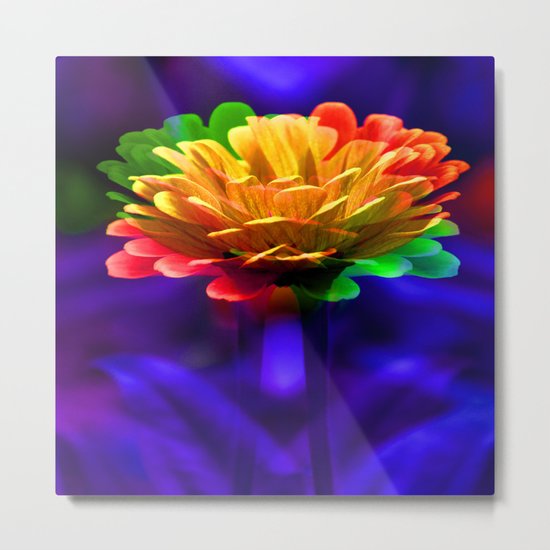 Blooming at Night... Metal Print