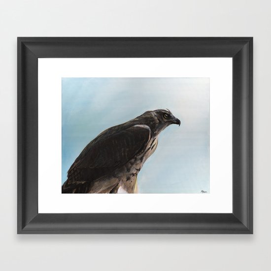 Hawk Framed Art Print