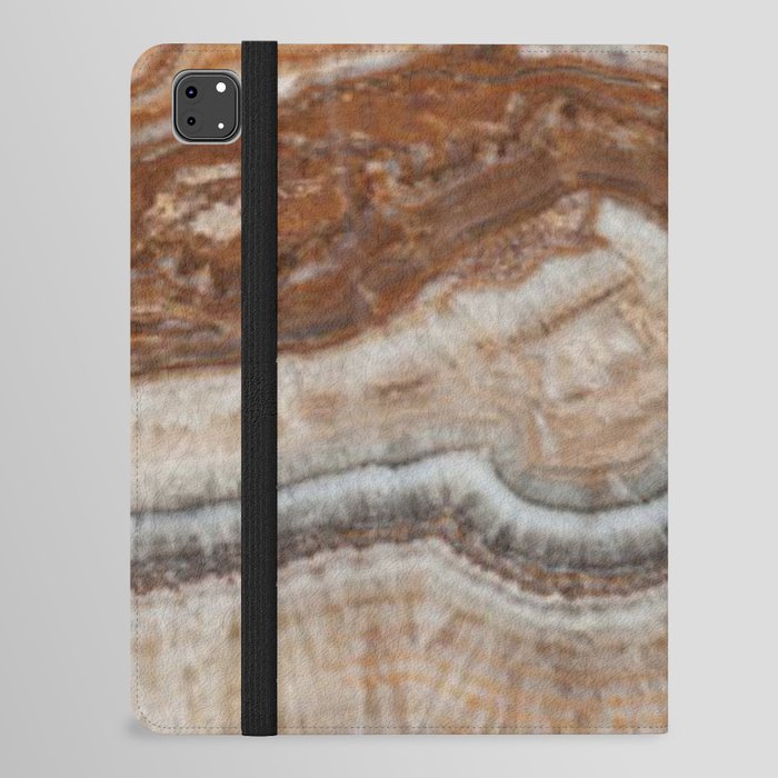 Copper Agate Geode Rock iPad Folio Case