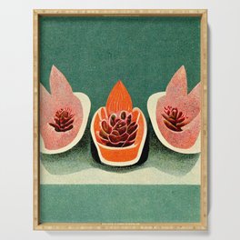 Mid Century Succulent Illustration Serving Tray