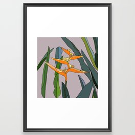 Bird of Paradise Flower - Nature's Lines Framed Art Print
