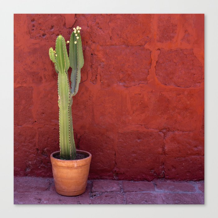 Mexico Photography - Small Cactus In Front Of A Red Brick Wall Canvas Print