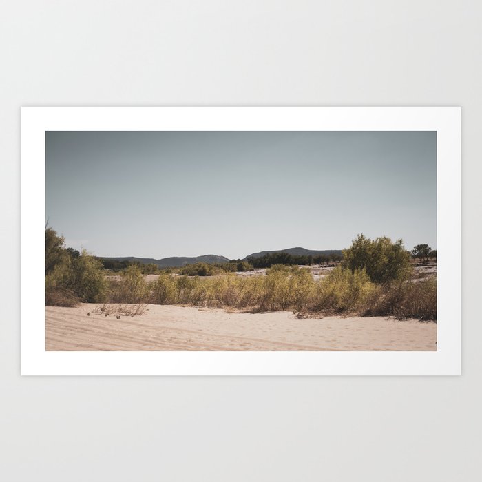 Texas landscape Art Print