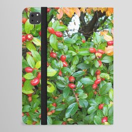 Red Autumn Berries iPad Folio Case