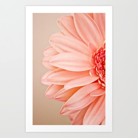 Half a Gerbera Art Print