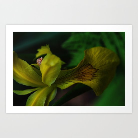 Garden Treasure Art Print