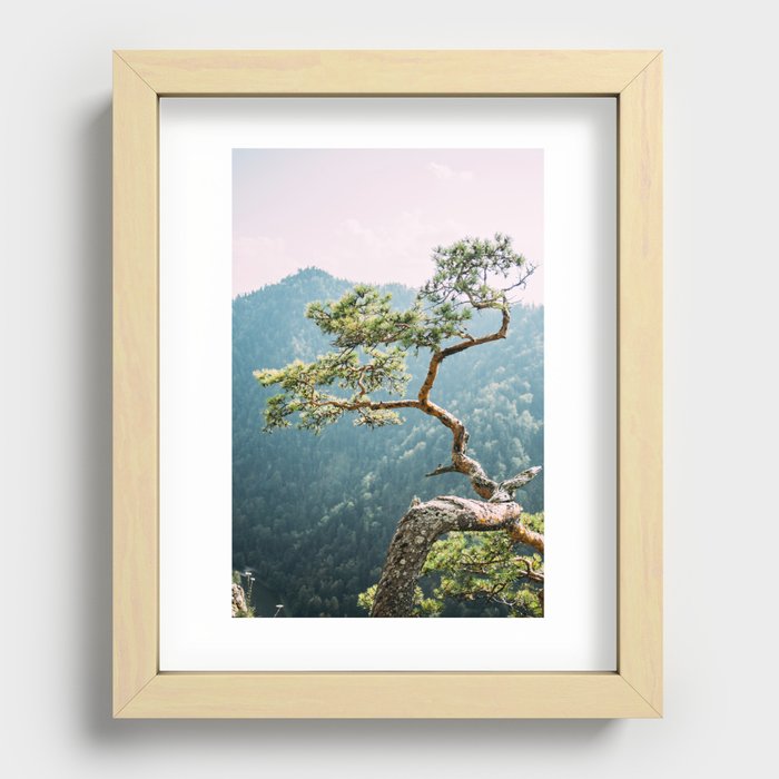Recessed Framed Print