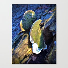 Fungal Entity Canvas Print
