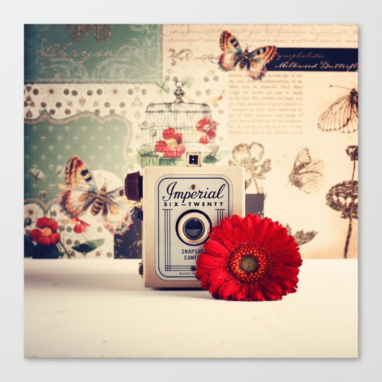 Retro Camera and Red Flower (Retro and Vintage Still Life Photography) Canvas Print
