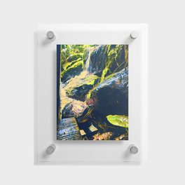 Sliders Place Floating Acrylic Print