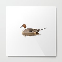 Reflections of a Northern Pintail Duck Metal Print | Mirrorimage, Northernpintail, Nature, Waterfowl, Bird, Duck, Atthepond, Photo, Portraitsofnature, Wildlifeencounters 