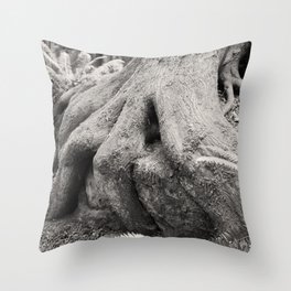 Old Growth Tree Roots Wizard Fingers Forest Woods Washington Northwest Boulder Geology Outdoors Land Throw Pillow