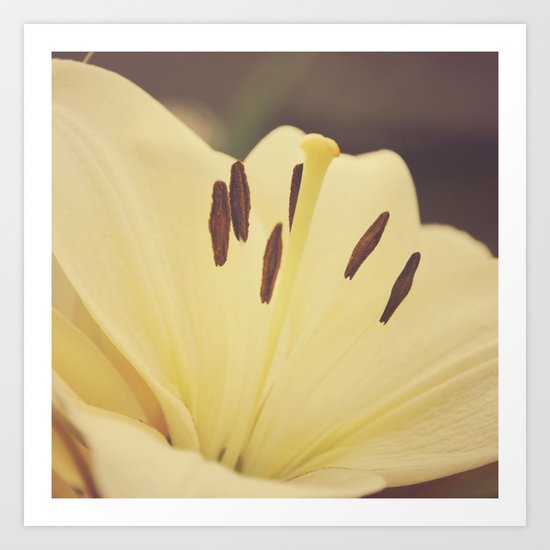 Dreamy Lily Art Print