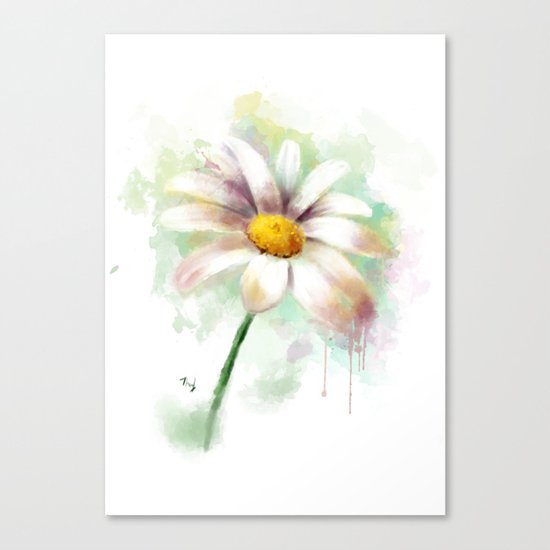 Daisy watercolor - flower illustration Canvas Print