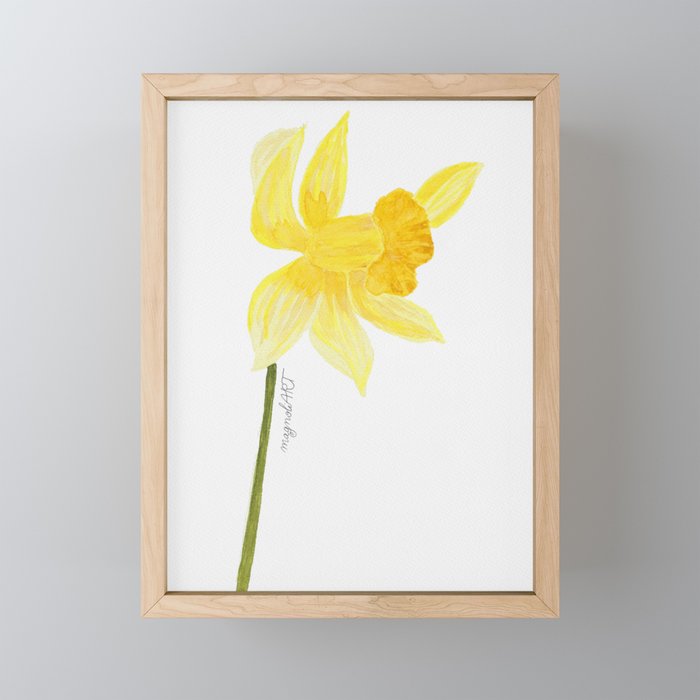 Yellow trumpet daffodil (Narcissus pseudonarcissus) - botanical watercolor artwork Framed Mini Art Print