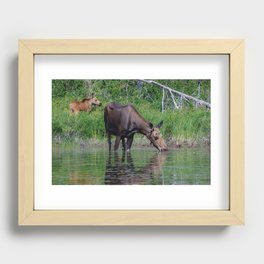 Algonquin Moose Encounter I Recessed Framed Print