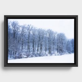 Winter Lake Framed Canvas
