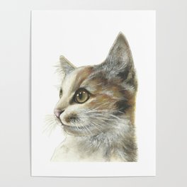 Curious Cat Poster
