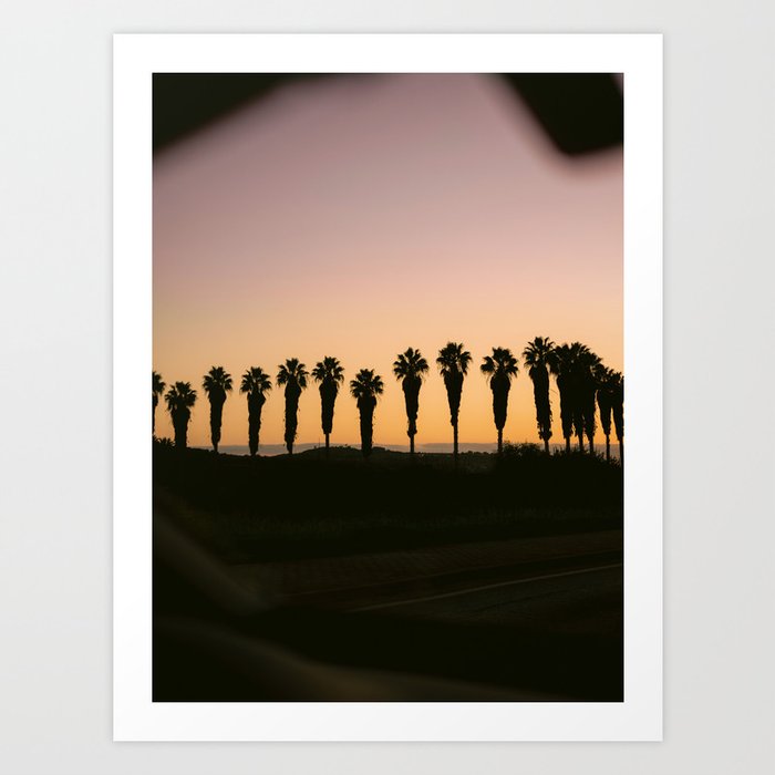 Palms of Portugal | Algarve travel sunset photography Art Print