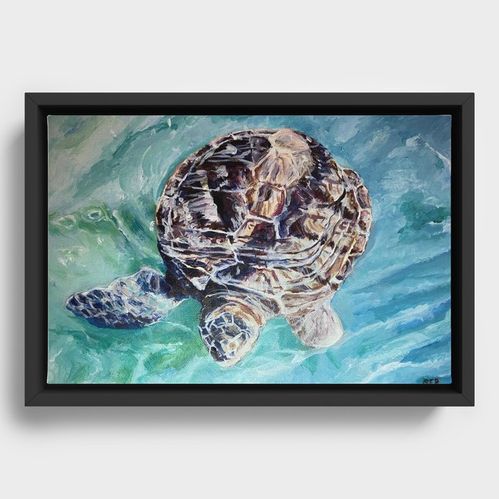 Green Turtle Framed Canvas