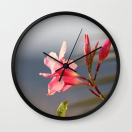Pink Blossom Wall Clock | Blosson, Pinkflower, Plants, Flower, Photo, Plant, Flowers, Beauty, Nature, Pink 