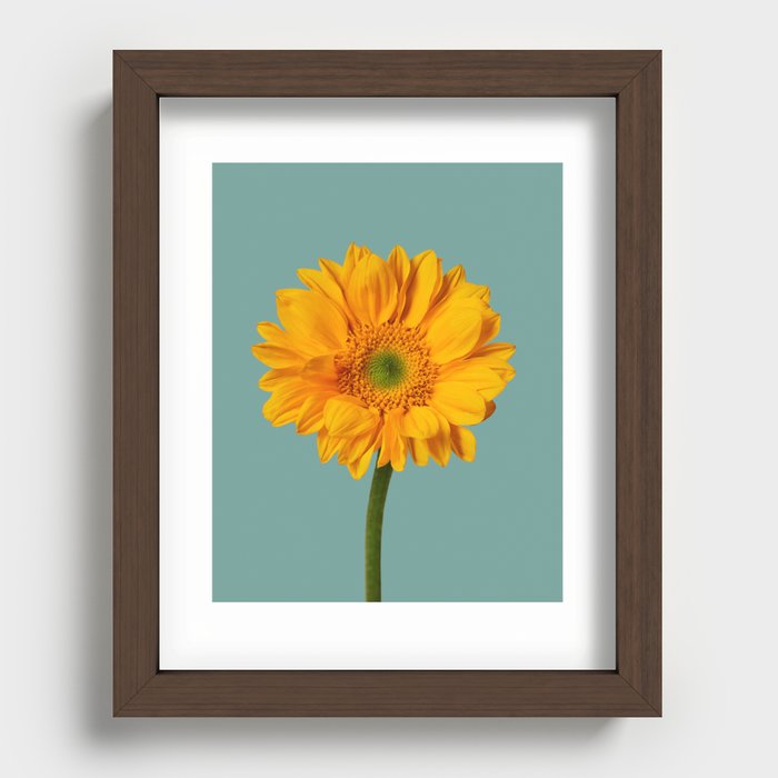 Sunflower Portrait Recessed Framed Print