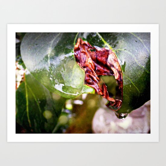 Sensual leaves Art Print