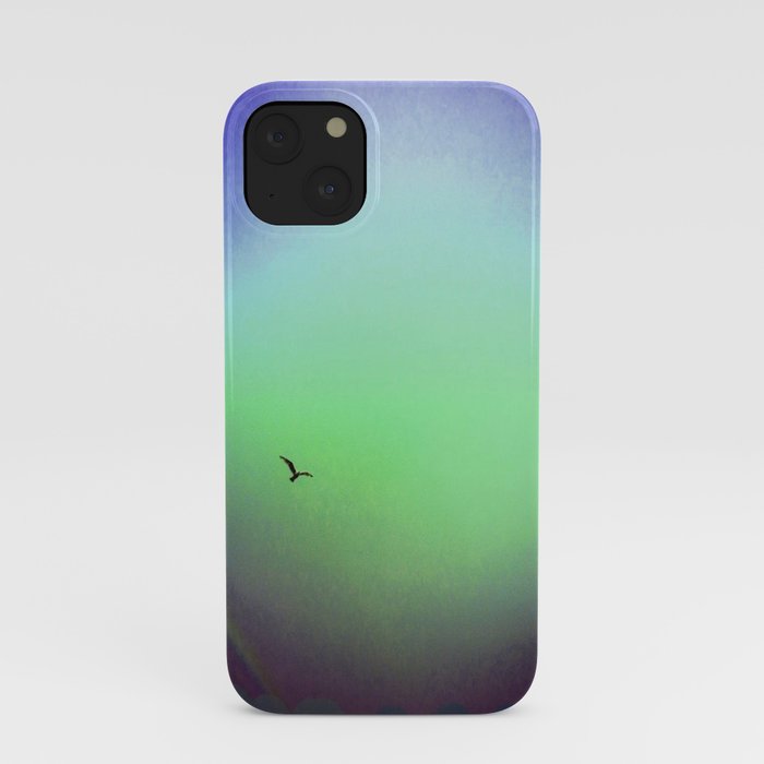 Seagull & Rainbow iPhone Case