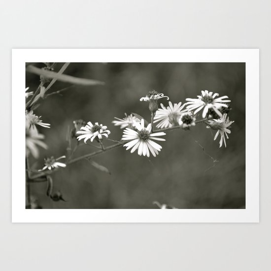 Blooming Art Print