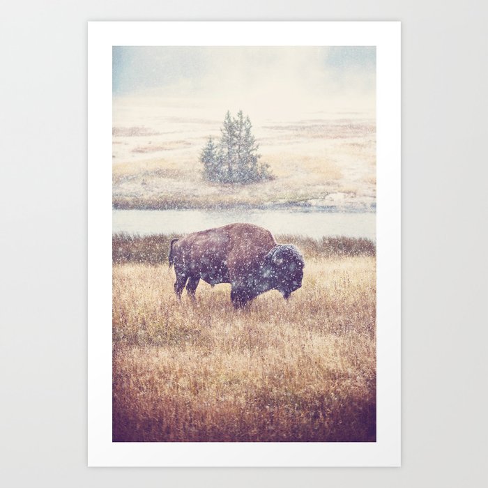 Snow Buffalo x Montana Landscape Photography Art Print