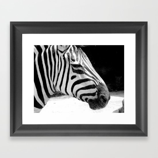 b&w zebra Framed Art Print