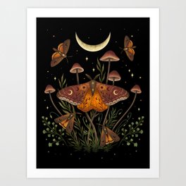 Autumn Light Underwing Art Print