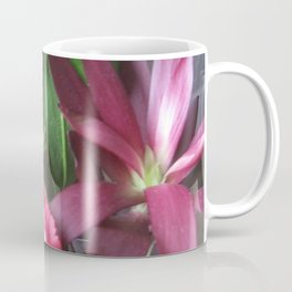 Blooms Coffee Mug | Nature, Photo, Flowes, Garden 