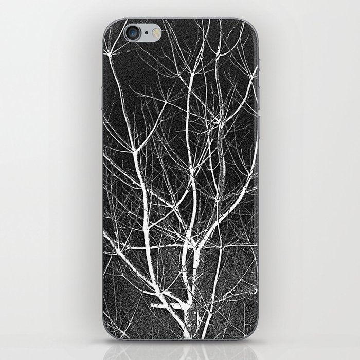 White Tree Branches iPhone Skin