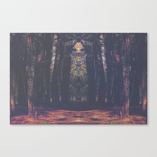 Acid Adventure Canvas Print