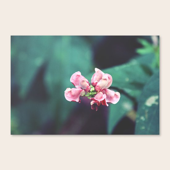 Vintage Canvas Print