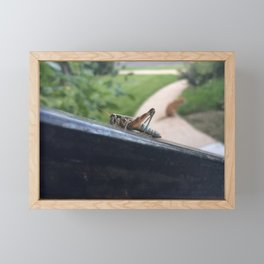 Grasshopper on a Rail Framed Mini Art Print