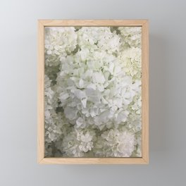 White Hydrangea Framed Mini Art Print
