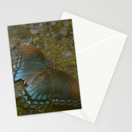 BLUE BUTTERFLY Stationery Cards