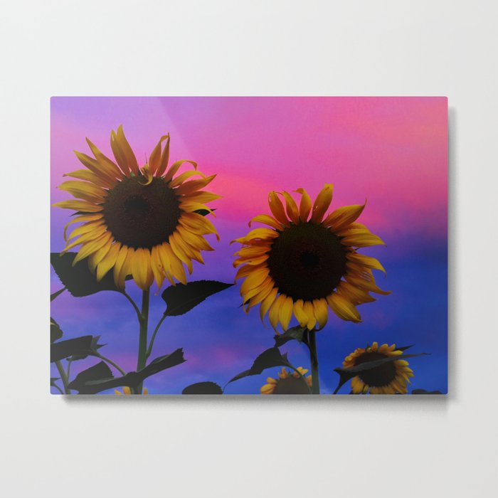 Sunflower Daydream II Metal Print