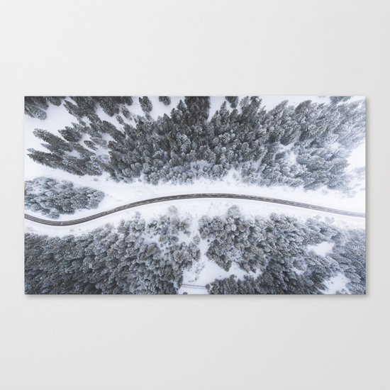 road through forest Canvas Print